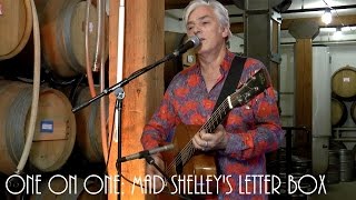 ONE ON ONE: Robyn Hitchcock - Mad Shelley&#39;s Letter Box November 7th, 2016 City Winery New York