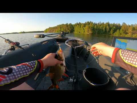 Ahvenen uistelua ja jigausta