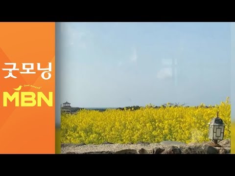 제주 최고 기온 '23.6도'…밤사이 강풍으로 사고 속출 [굿모닝 MBN]