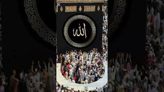 Download lagu LABIK KALA HOMA LABIK INAL HAMDA mp3 Download lagu LABIK KALA HOMA LABIK INAL HAMDA mp3