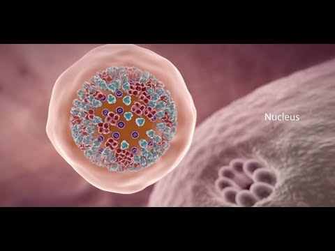 Hpv virus na grlicu materice