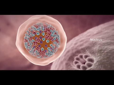 COVID-19 Animation: What Happens If You Get Coronavirus?