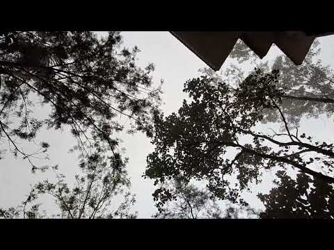 Waking up to this view... | Oxygen Resorts