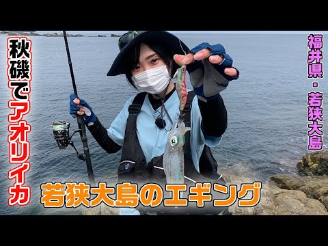 福井県若狭大島　磯エギング（ガッ釣り関西/2021年10月9日放送）