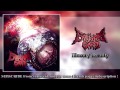 Enterprise Earth – Illusory Reality 