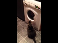 Kitty V Washing Machine
