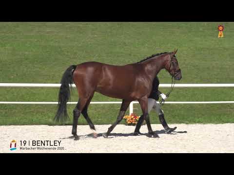 19 Bentley v. Bordeaux - San Amour  *MARBACHER WOCHENENDE 2020*