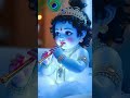 Achyutam Keshavam Krishna Damodaram Shorts Krishna Dwarka Radhakrishna Lordkrishna