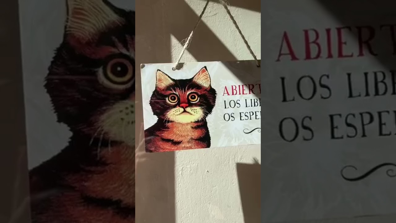 Ver La Puerta De Tannhäuser Caceres ahora La Puerta De Tannhäuser Caceres