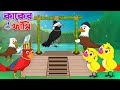টুনির গল্প - পর্ব- কাকের ফাঁসি | Tuni O Kak Bird Story | Golpo Bangla | Ba
