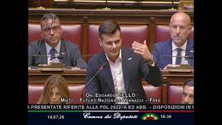 ZIELLO: “QUEST'AULA HA PAURA DEL GENERALE VANNACCI, NON FERMERETE IL CAMBIAMENTO”