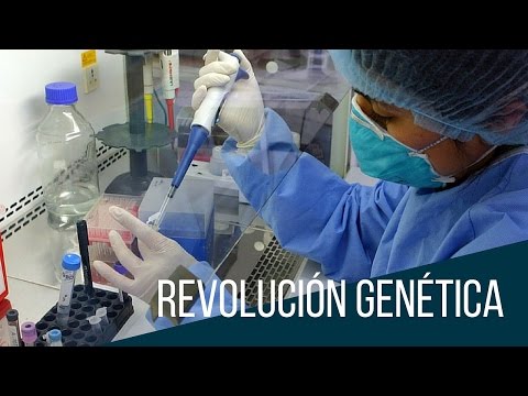 Ingeniería genética - gran potencial, grandes peligros