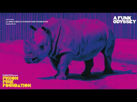 Top Jazz & Funky Vibes | Fusion Funk Foundation | A Funk Odissey