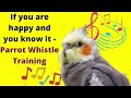 If you are happy and you know it - cockatiel singing training - Bird Whistle Training!