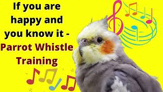 Download lagu If you are happy and you know it - cockatiel singing training - Bird Whistle Training! mp3 Download lagu If you are happy and you know it - cockatiel singing training - Bird Whistle Training! mp3