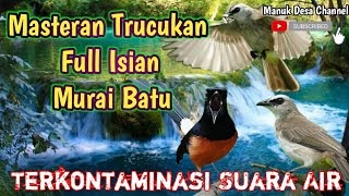 Download lagu Masteran Trucukan Full Isian Murai Batu Terkontaminasi Suara Air mp3