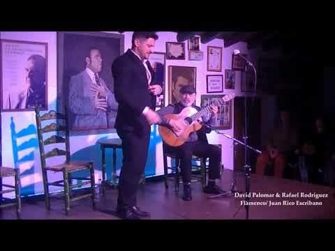 David Palomar & Rafael Rodríguez - Bulerías
