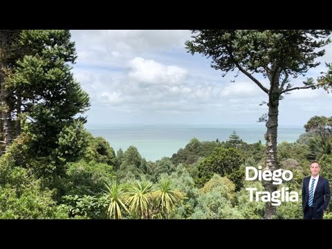 47 Takahe Road, Titirangi by Diego Traglia