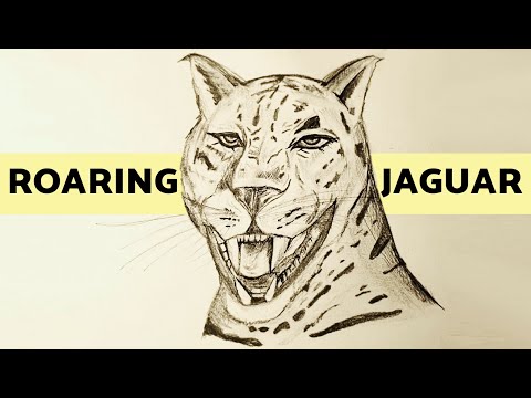 How to Draw a Jaguar Roaring