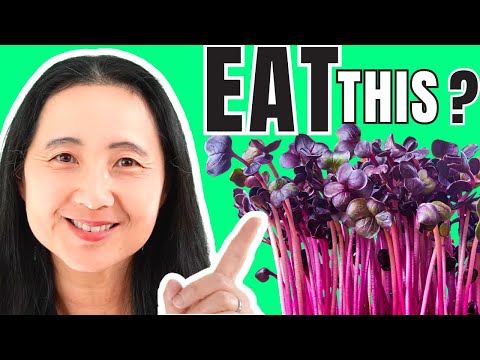 Superfoods The Truth About Sprouts