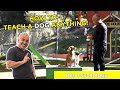 HOW TO TEACH A DOG ANYTHING With Cesar Millan