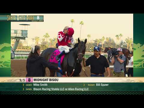 Santa Ynez Stakes (Gr. II) - January 7, 2018