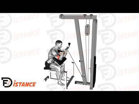 Exercice Curl inversé au pupitre à la poulie basse