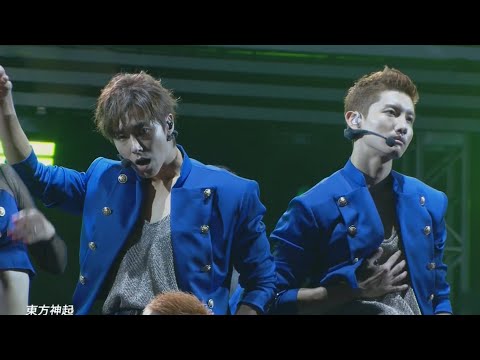 Jungle + Showtime Live Performance