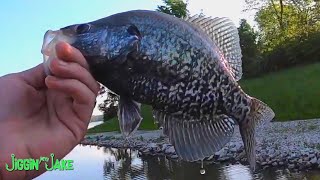 CRAPPIE Fishing From the Bank - What COLORS Work Best in MUDDY Water!