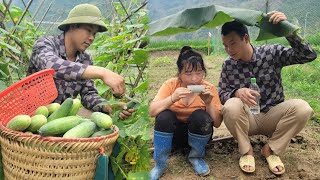 18 year old single mother: Harvesting cucumbers to sell at the market - Hoeing soil to plant onions