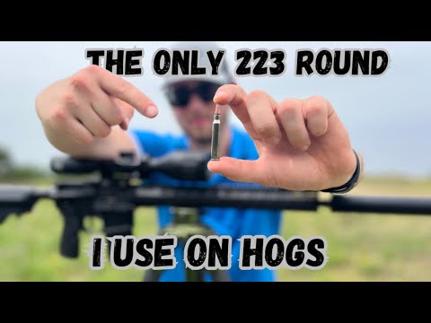 This Is the BEST 223/556 Round For THERMAL HUNTING HOGS! Insane Thermal Footage! DoubleTap 223 SC-HP