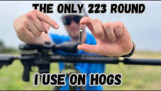 This Is the BEST 223/556 Round For THERMAL HUNTING HOGS! Insane Thermal Footage! DoubleTap 223 SC-HP