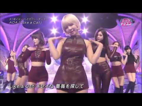 aoa like a cat
