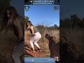 18 AMAZING Animal Clips You MUST See WILD ZOOM Animals Animalshorts Animalclips