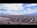 Wildlife Video Clip HD
