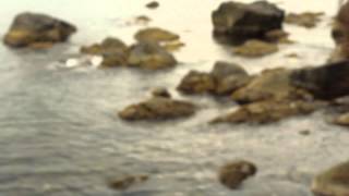 Sia - Lentil (Unofficial Music Video)