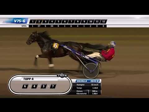 Svenskt Trav Kriterium 2023 - Fame And Glory