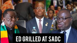 POLITICAL BOMBSHELL! Mnangagwa’s Footsoldier GRILLED At SADC Summit — Tension Explodes