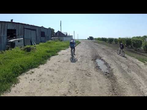 Pe drumul de intoarcere spre Puieni