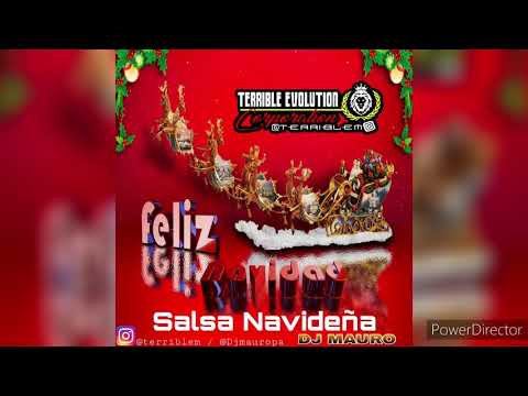 Salsa Navideña Mix 2020 - Dj Mauro Ft Terrible Evolution Corporation