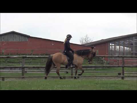 FIZO Kronshof 2021 - Ósk vom Kronshof