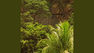 Download lagu Mari Membaca Buku mp3