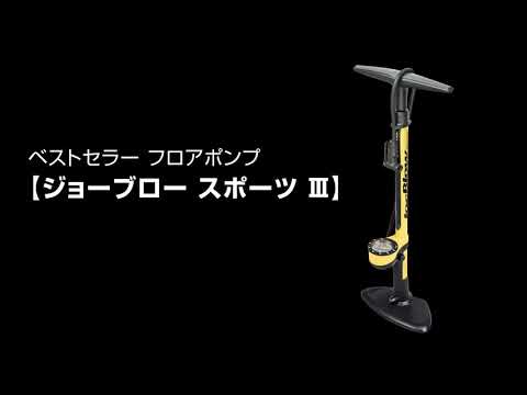 動画を見る