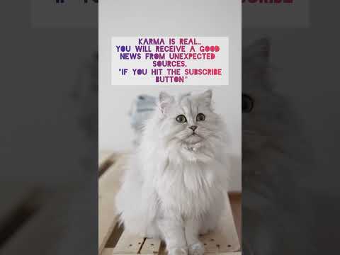 Try it and see #shorts #viral