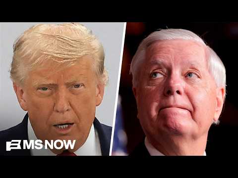 Trump wants Lindsey Graham's sister to fill his seat temporarily