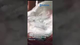 Viral Kakek di Serang Simpan Uang dalam Kamar Sejak Tahun 1997, Jumlahnya Lebih dari Rp 100 Juta