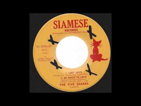 The Five Sharks - Lost Love - '66 Acappella Doo-Wop on Siamese Records