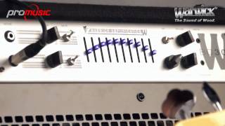 Video thumbnail for Warwick Amplificador de Bajo Combo WBC300 en español by Promusic TV