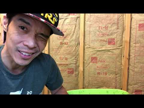 5. Quarantine Projects - Worm Composting!