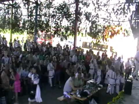 28 Targu lui Ilie - Raciu 2010-  Sanmartinu de Campie